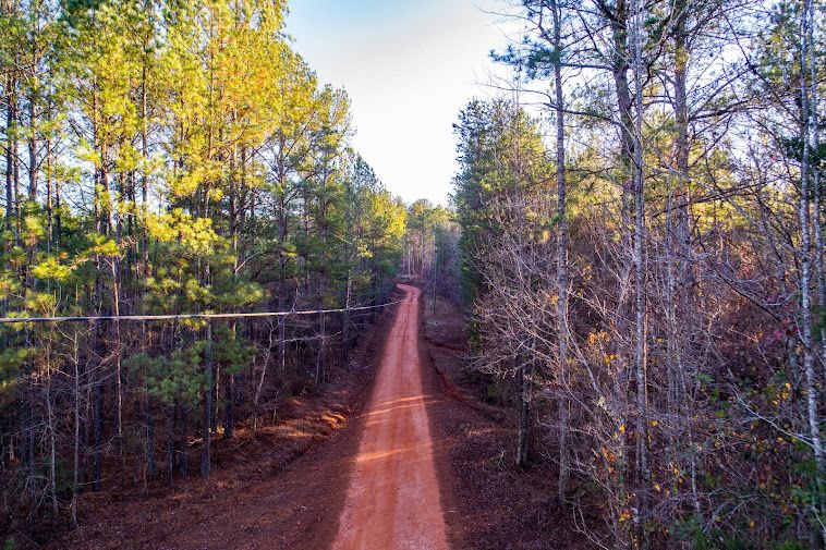 38 acres in Randolph County, Alabama