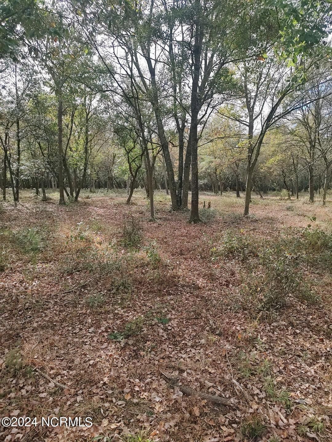 5 acres in Duplin County, North Carolina