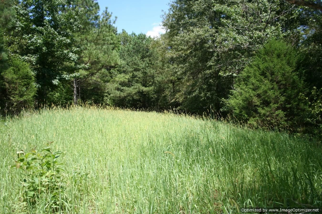 49 acres in Yazoo County, Mississippi
