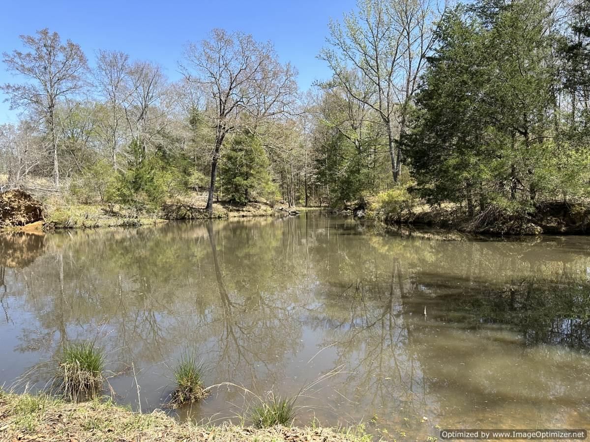 120 acres in Holmes County, Mississippi