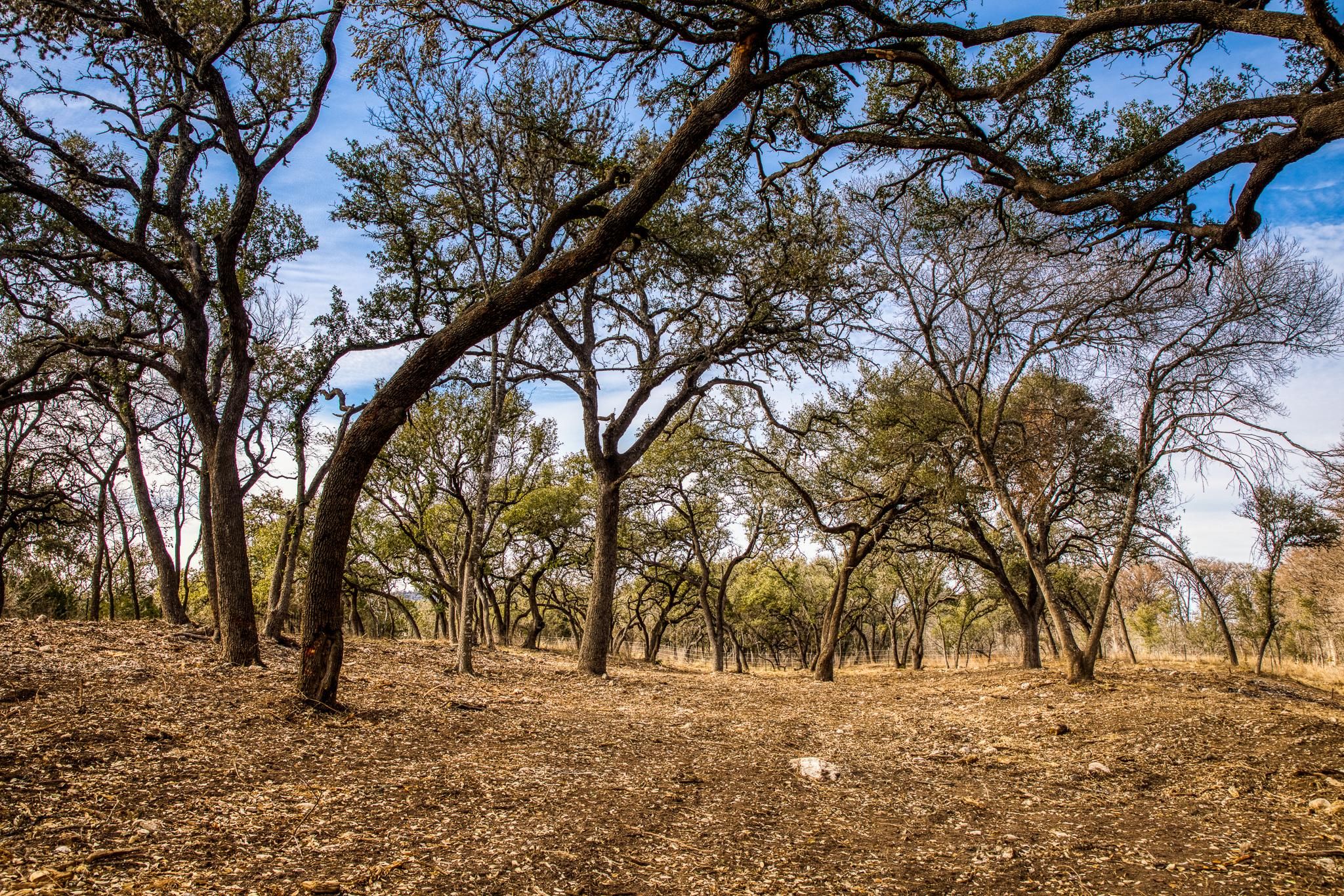 120 acres in Bandera County, Texas
