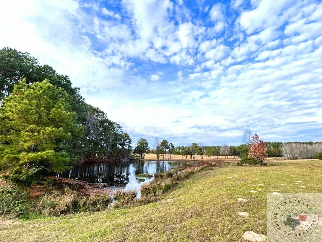 59 acres in Cass County, Texas