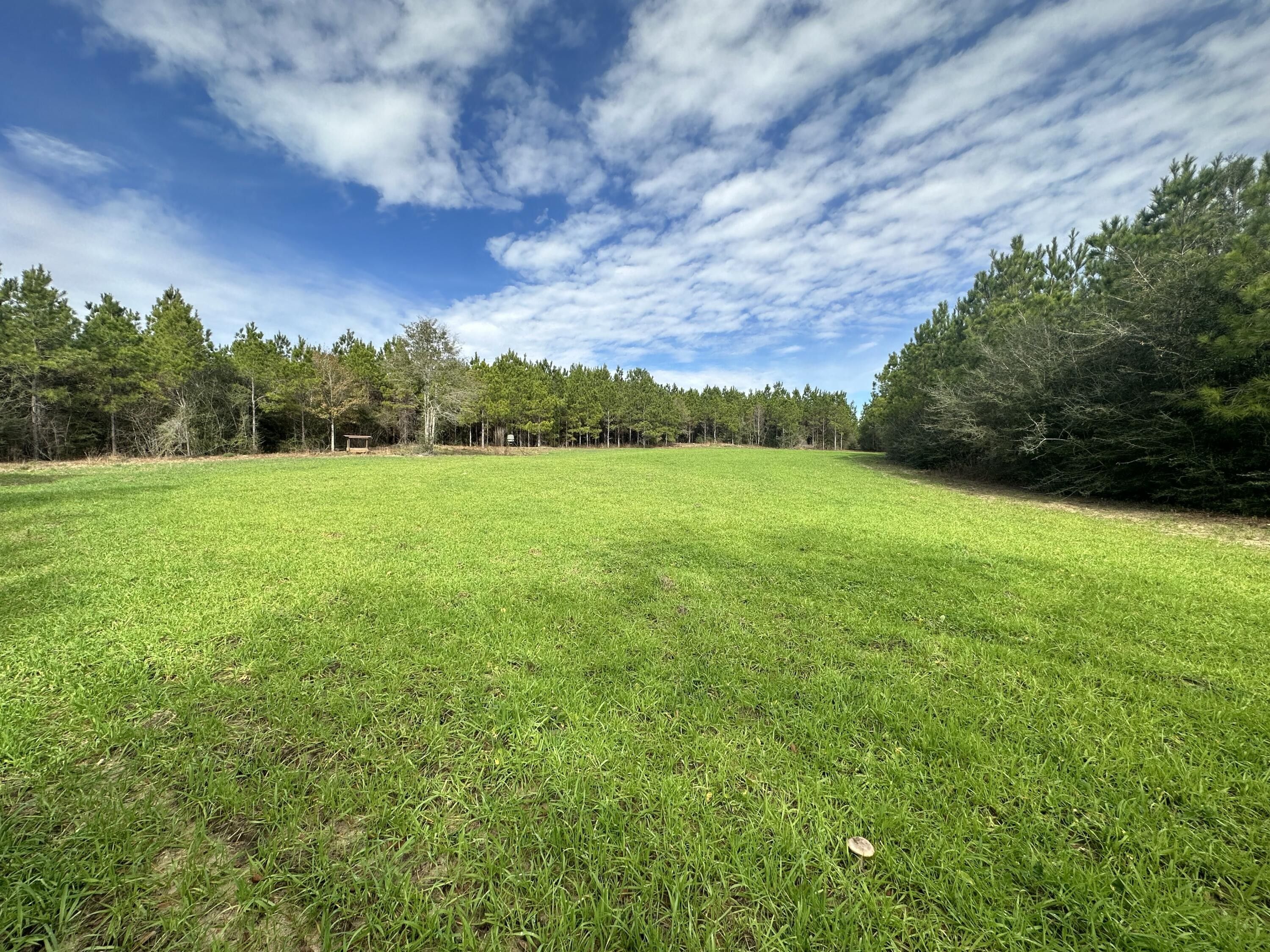 79.06 acres in Holmes County, Florida