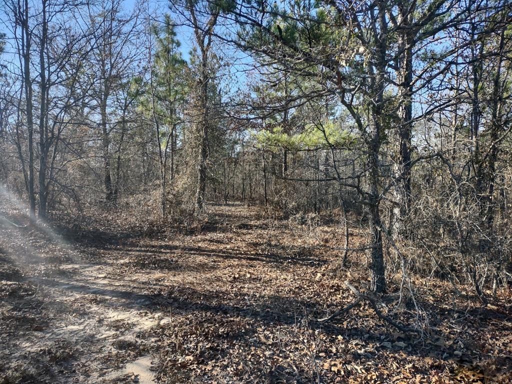 30 acres in Marion County,