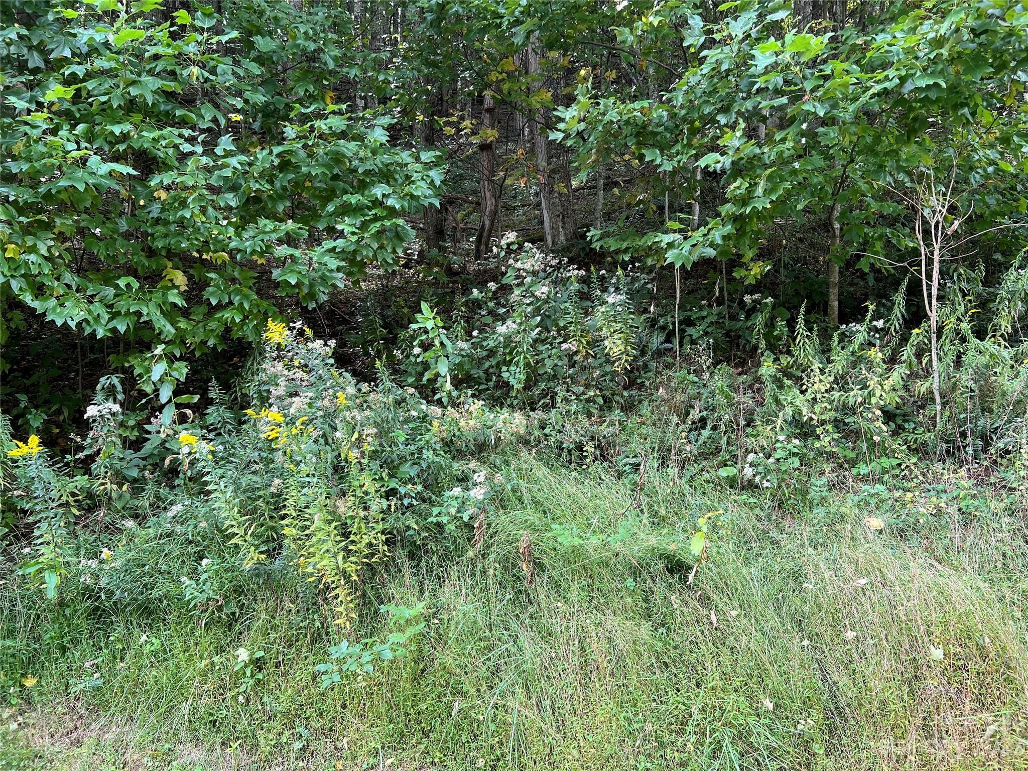 2.65 acres in Ashe County, North Carolina