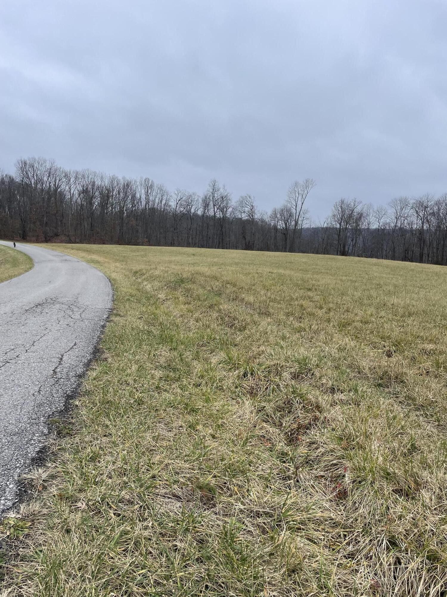 18.5 acres in Fleming County, Kentucky