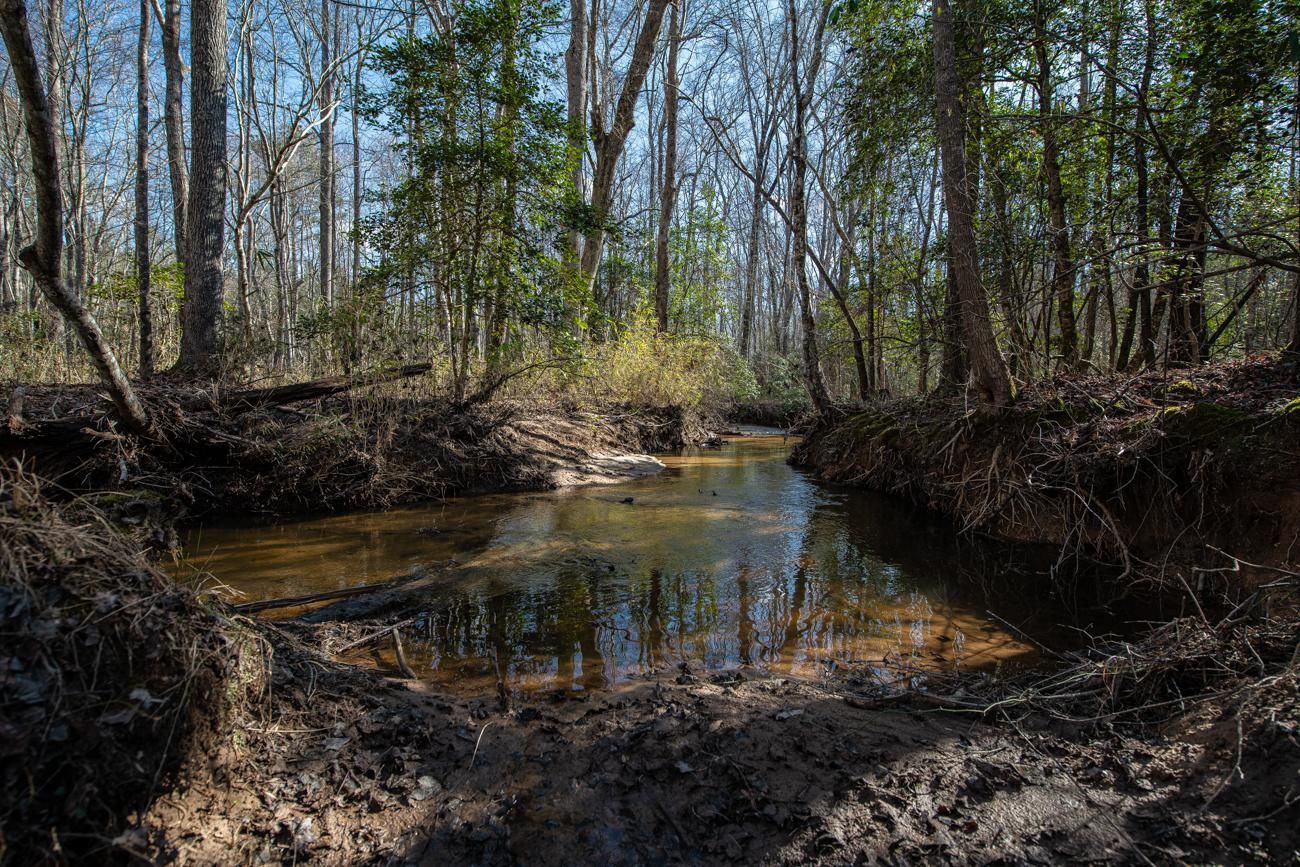 159 acres in Eagle Springs, NC, 27242