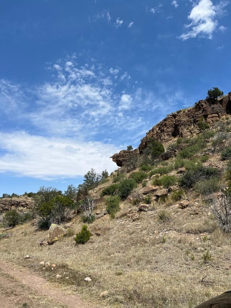 4,193 acres in Capitan, NM, 88316