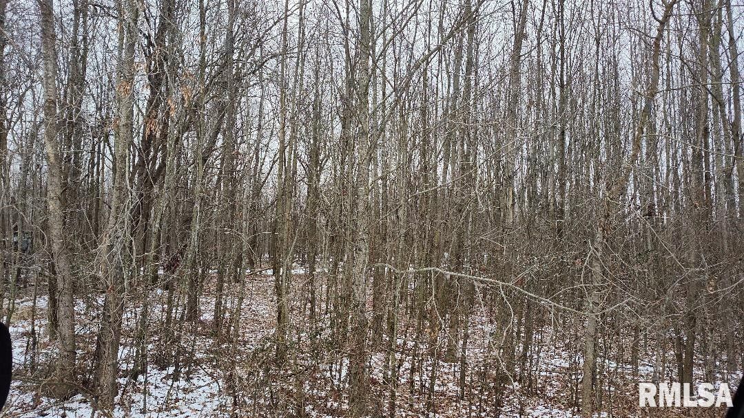 14 acres in Alexander County, Illinois