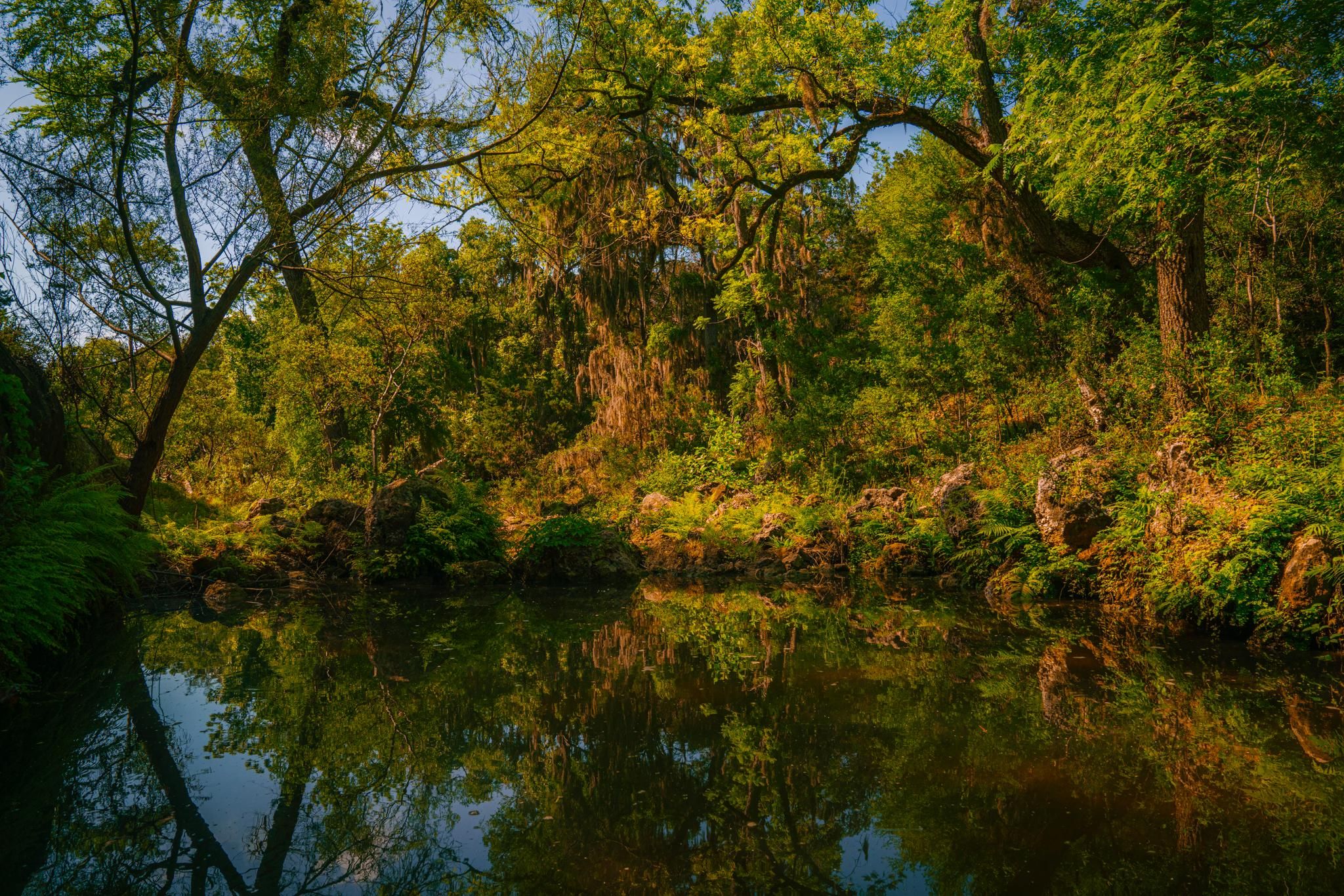 50 acres in Spring Branch, TX, 78070