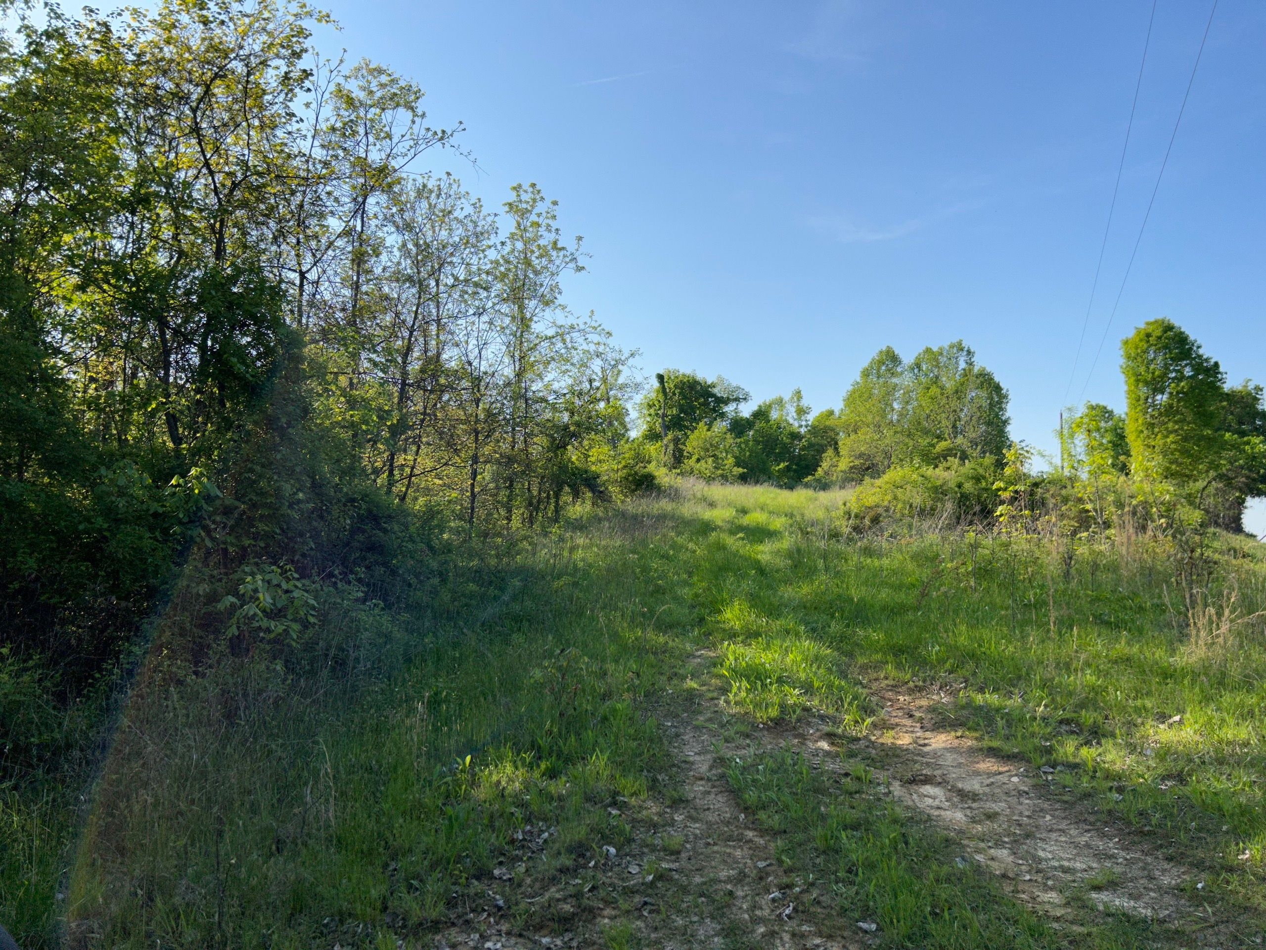 State Route 555, Lot WP001, Chesterhill, OH 43728