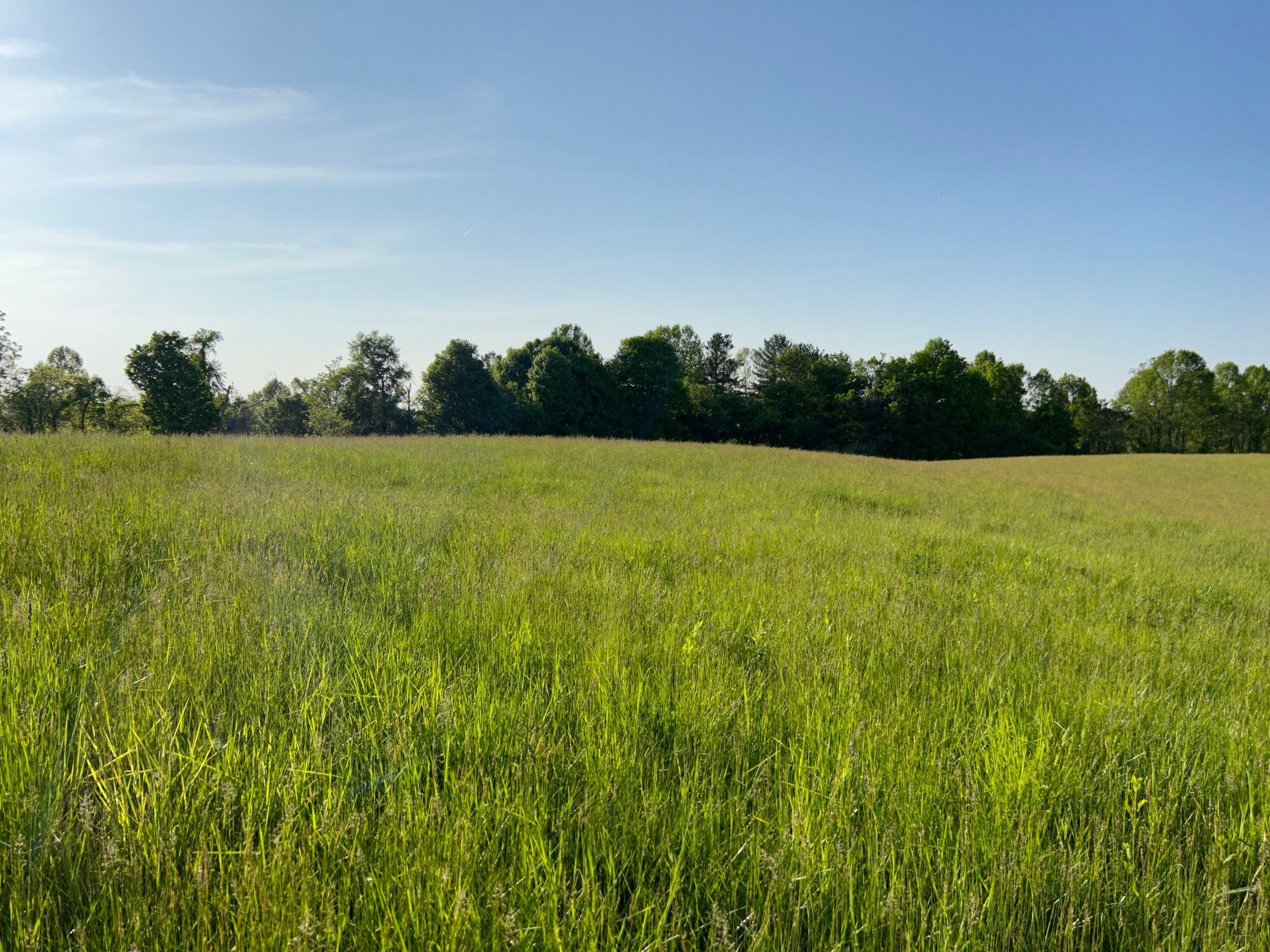 State Route 555, LotWP003, Chesterhill, OH 43728