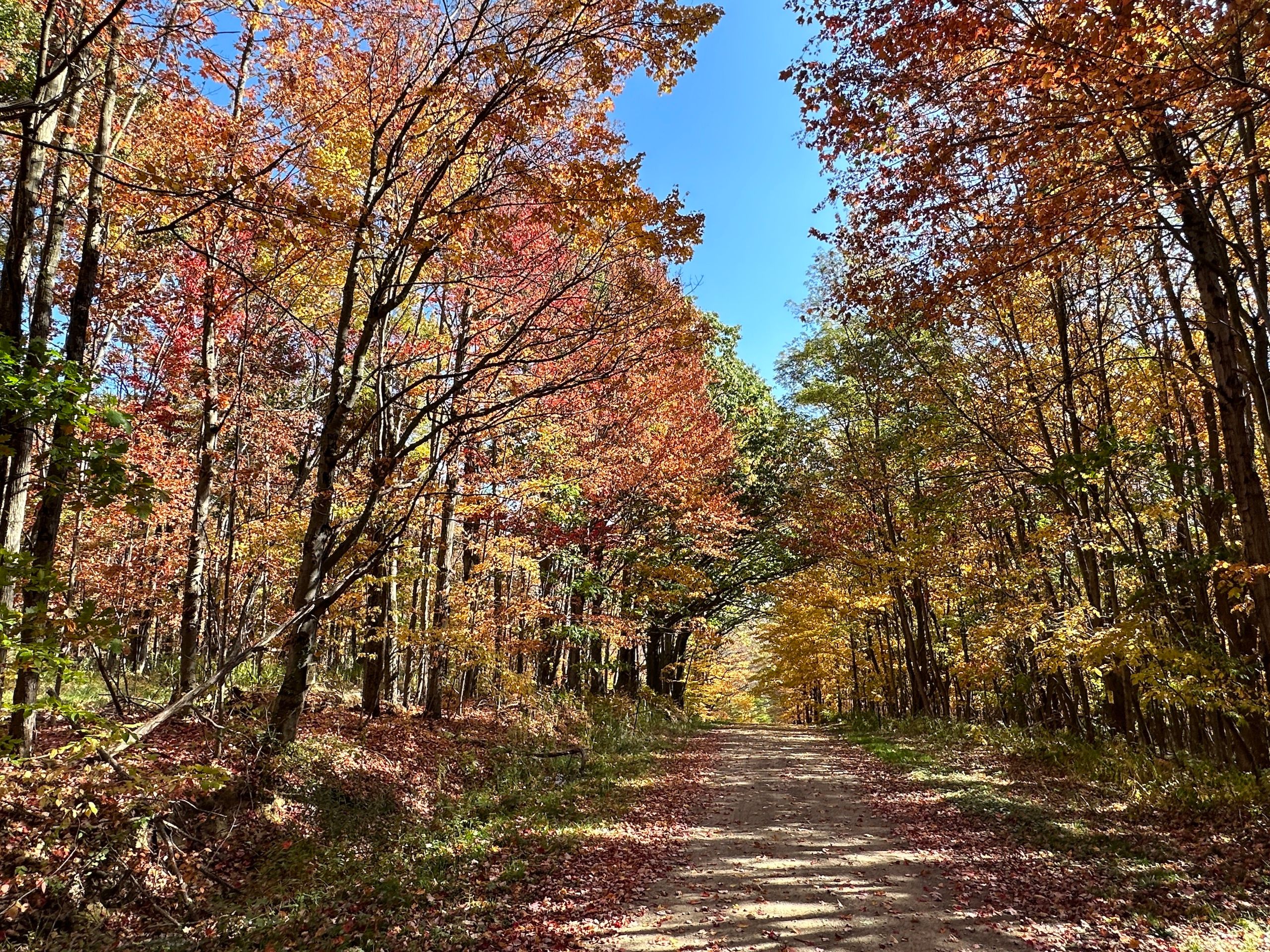 VL Lot V (5) Johnson Hill Rd, Swain, NY 14884 MLS 11237624