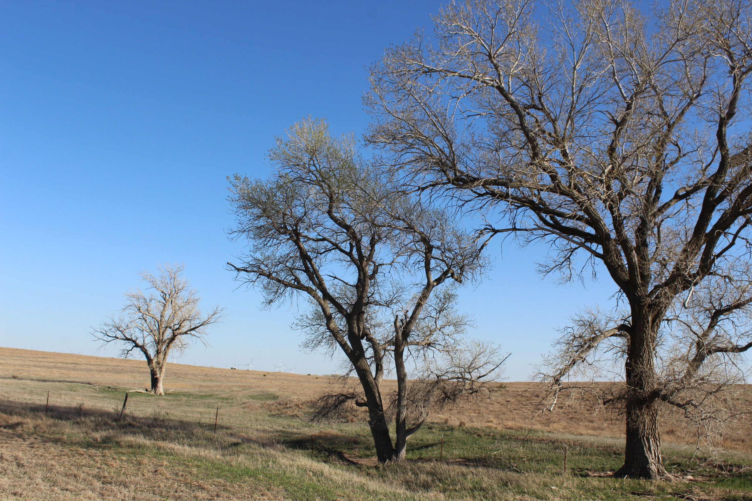 127 acres in Pratt County, Kansas