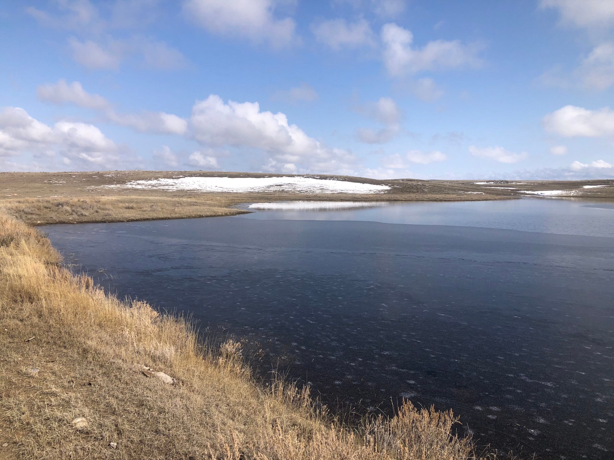 880 acres in Phillips County, Montana