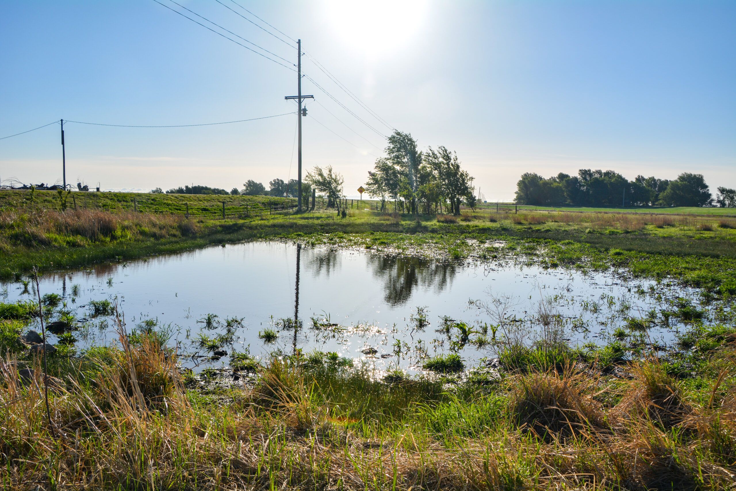 153.49 acres in Stafford County, Kansas