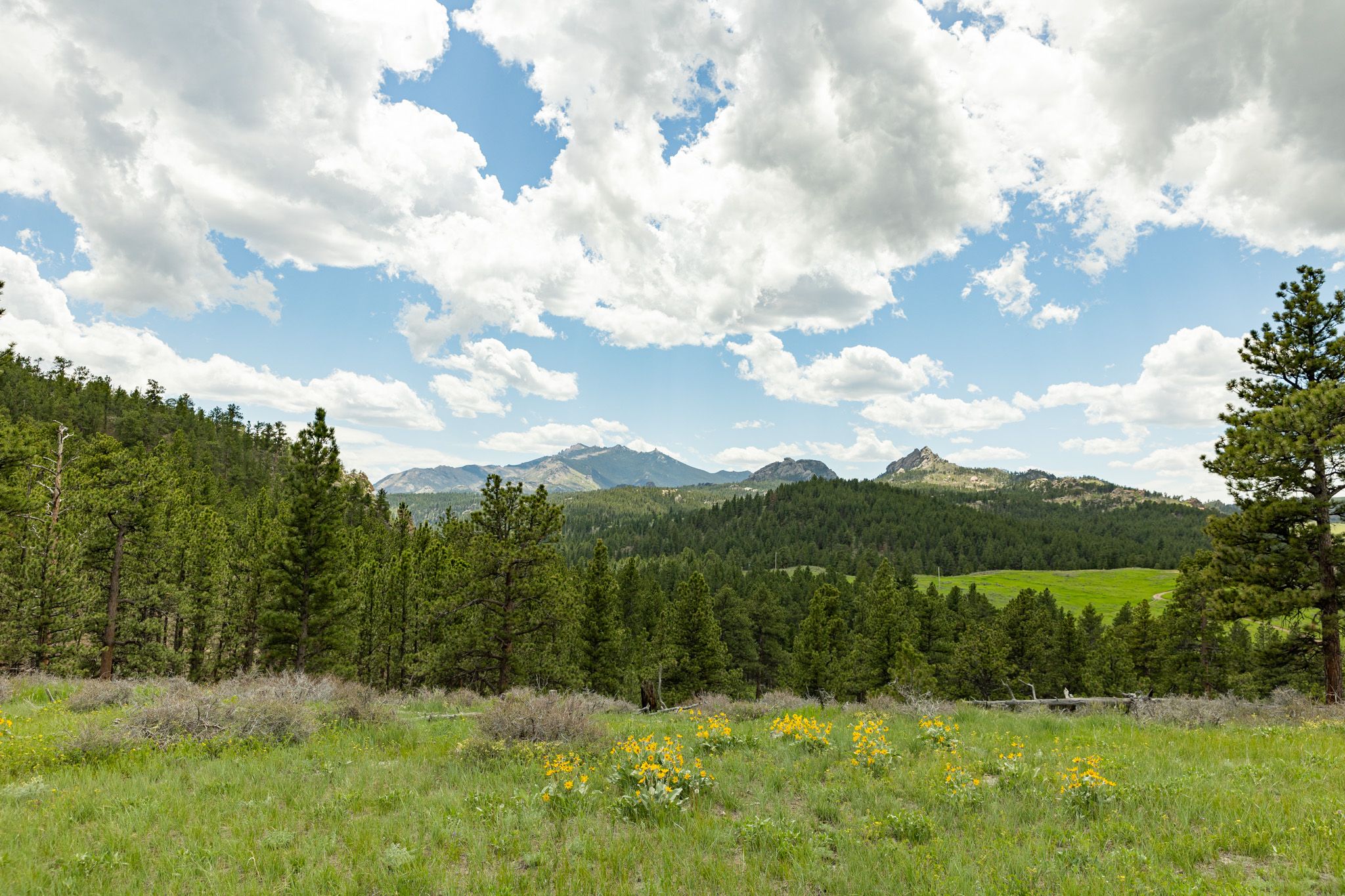 86 acres in Converse County, Wyoming