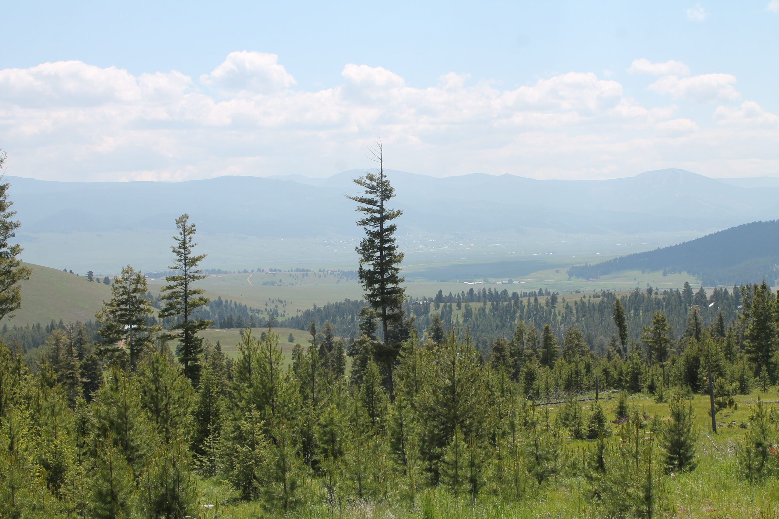 36 acres in Granite County, Montana