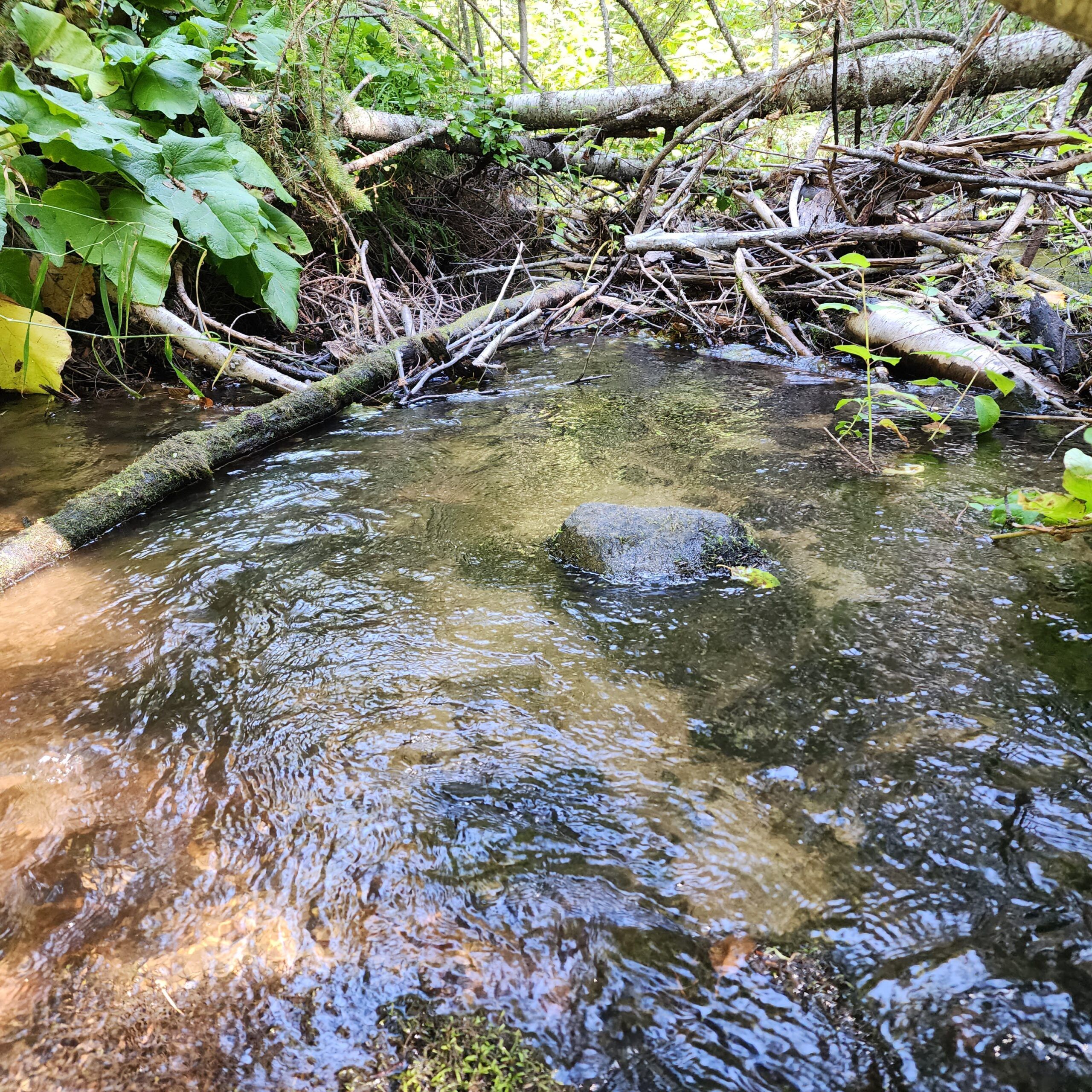 42 acres in Okanogan County, Washington