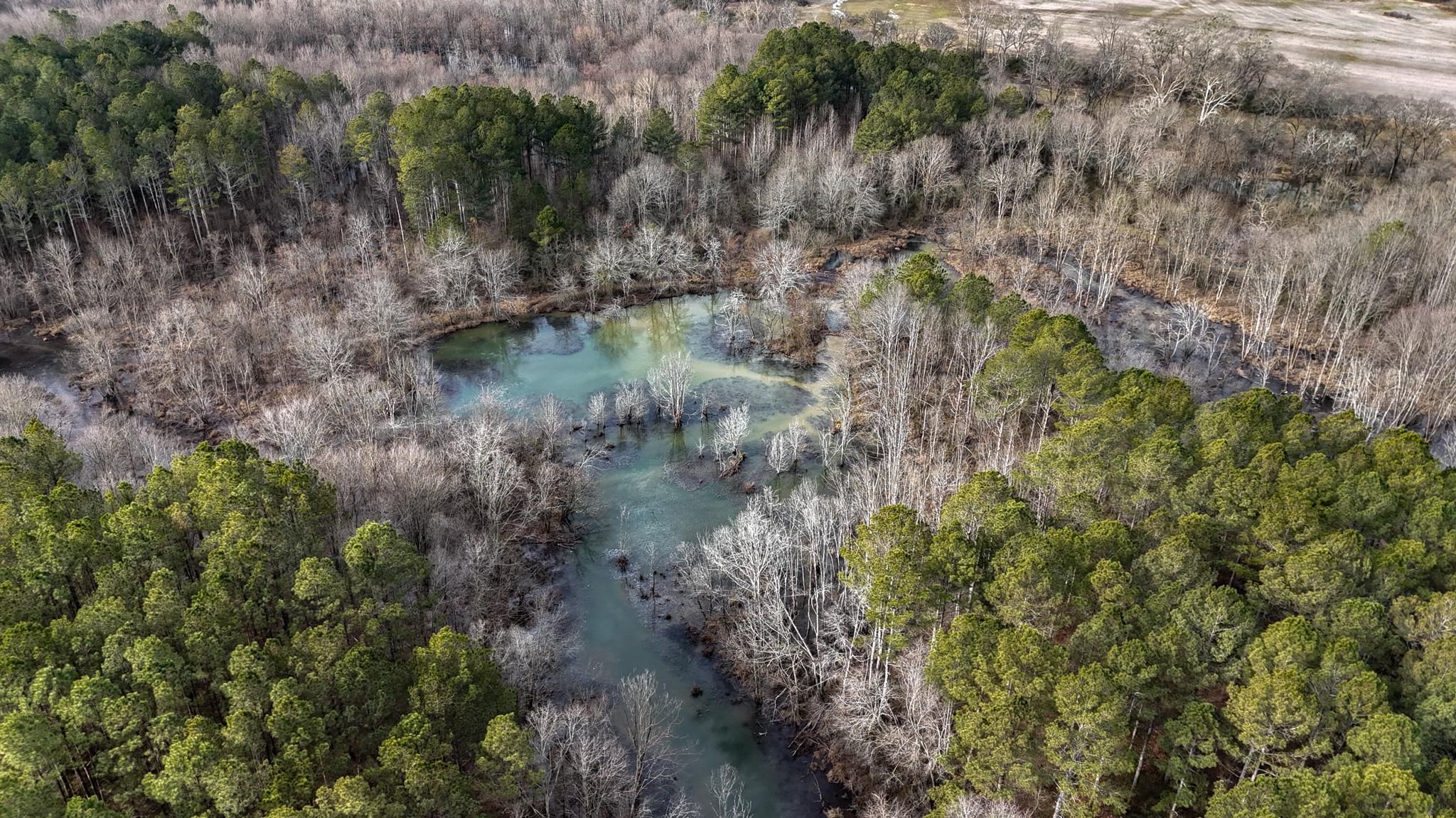 557 acres in Lyerly, GA, 30730