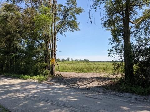 LIVE OAK FLORIDA PROPERTY APPRAISER intelligence overview