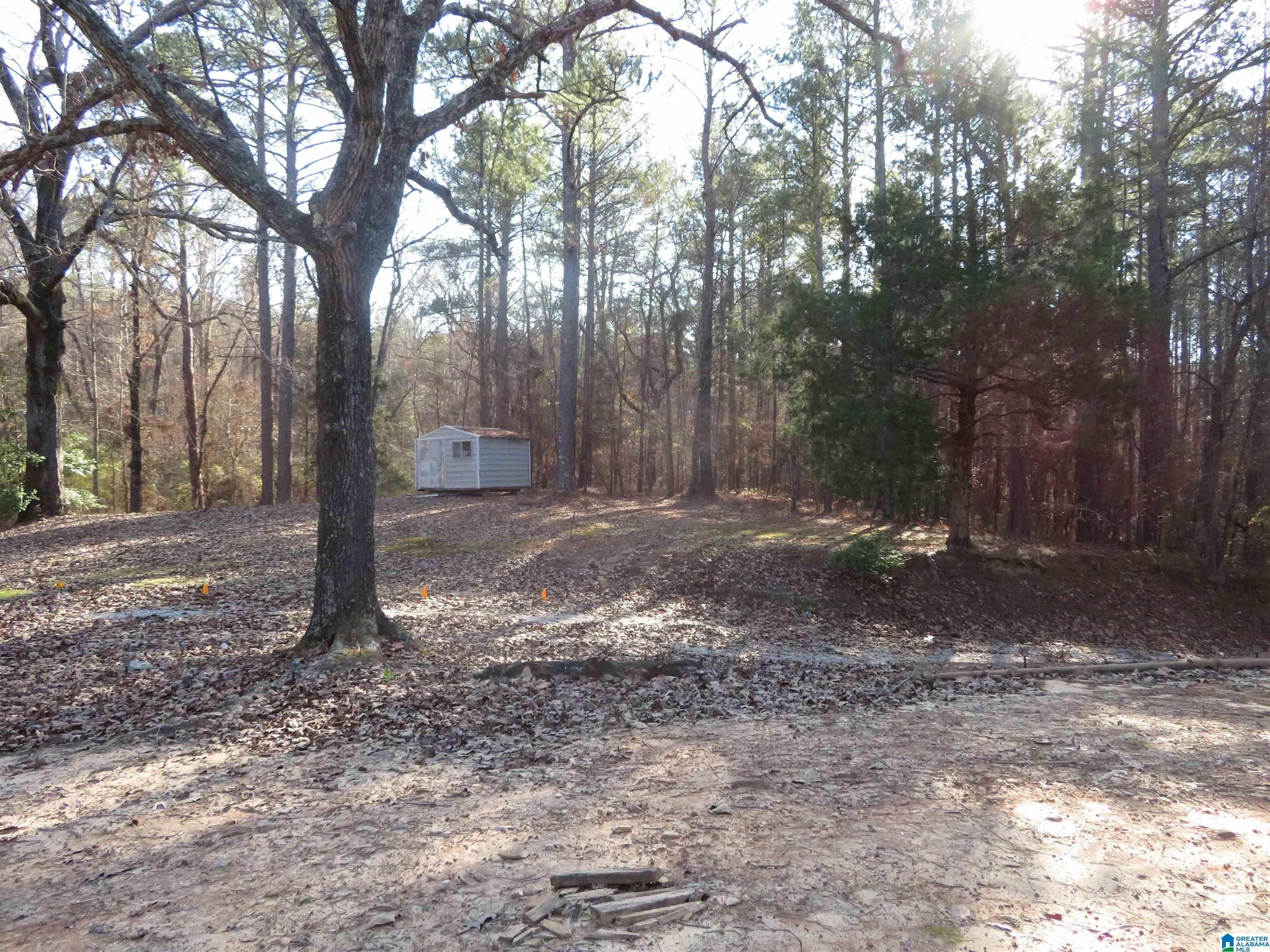 30 acres in Bibb County, Alabama
