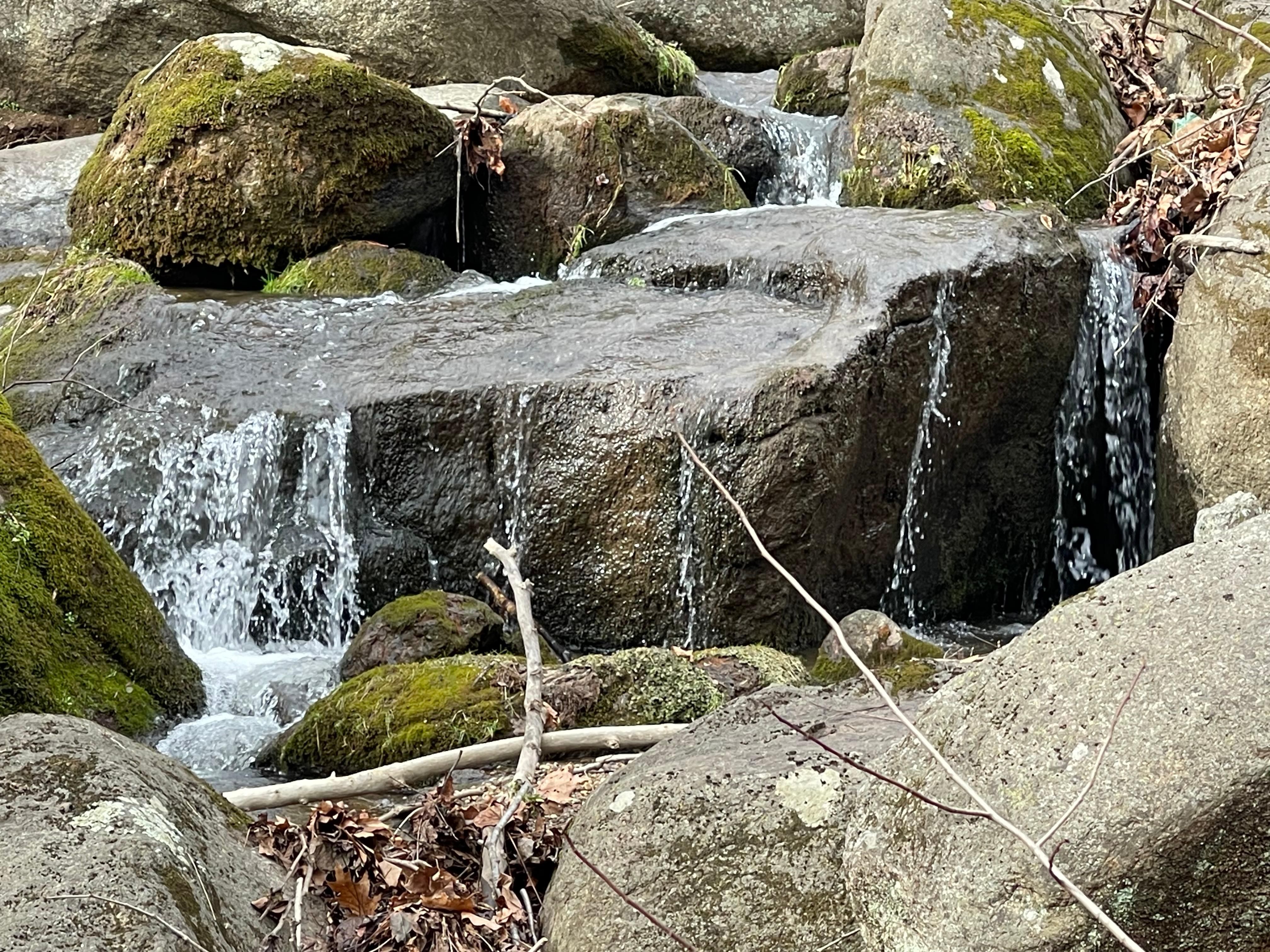 2399 Cool Springs Road, Thaxton, VA 24174 MLS 350126