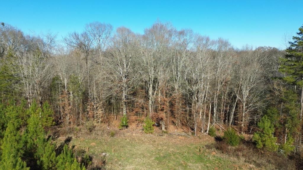 45 acres in Abbeville County, South Carolina
