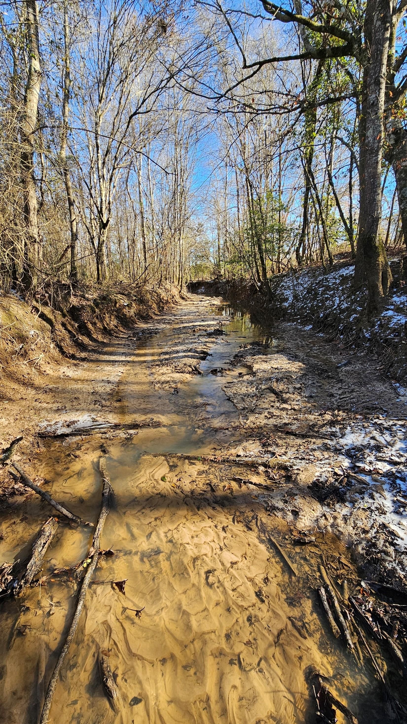 1,110 acres in Jasper County, Mississippi