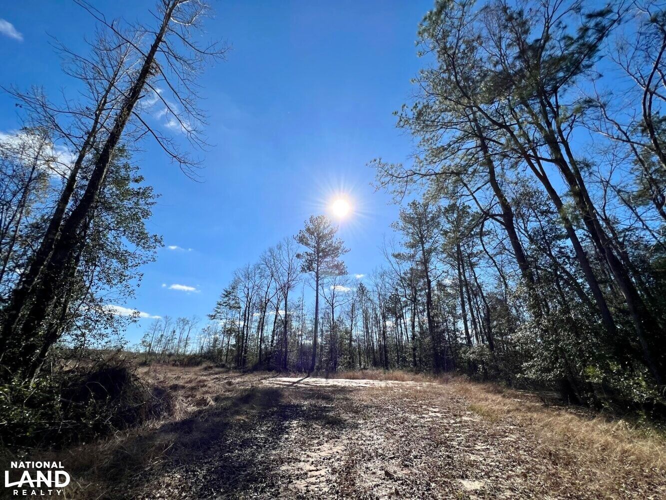 160 acres in Washington County, Alabama