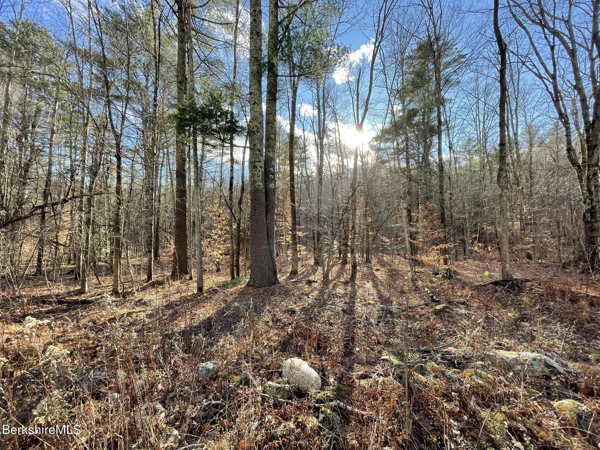 7 acres in Berkshire County, Massachusetts