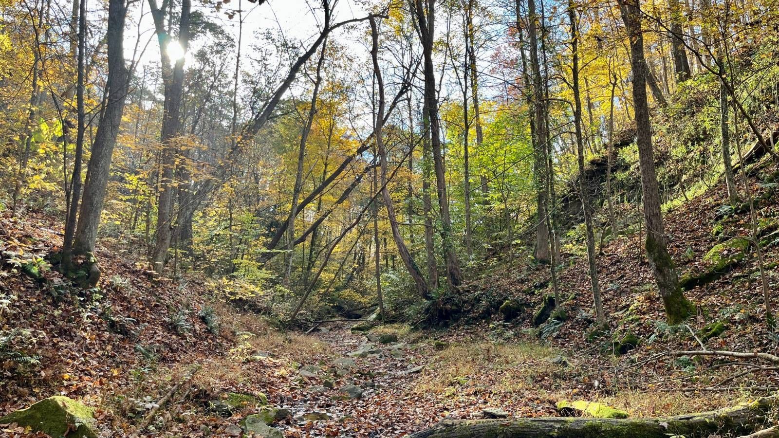 409 Ingram Rd, Newport, OH 45768 MLS 11239100