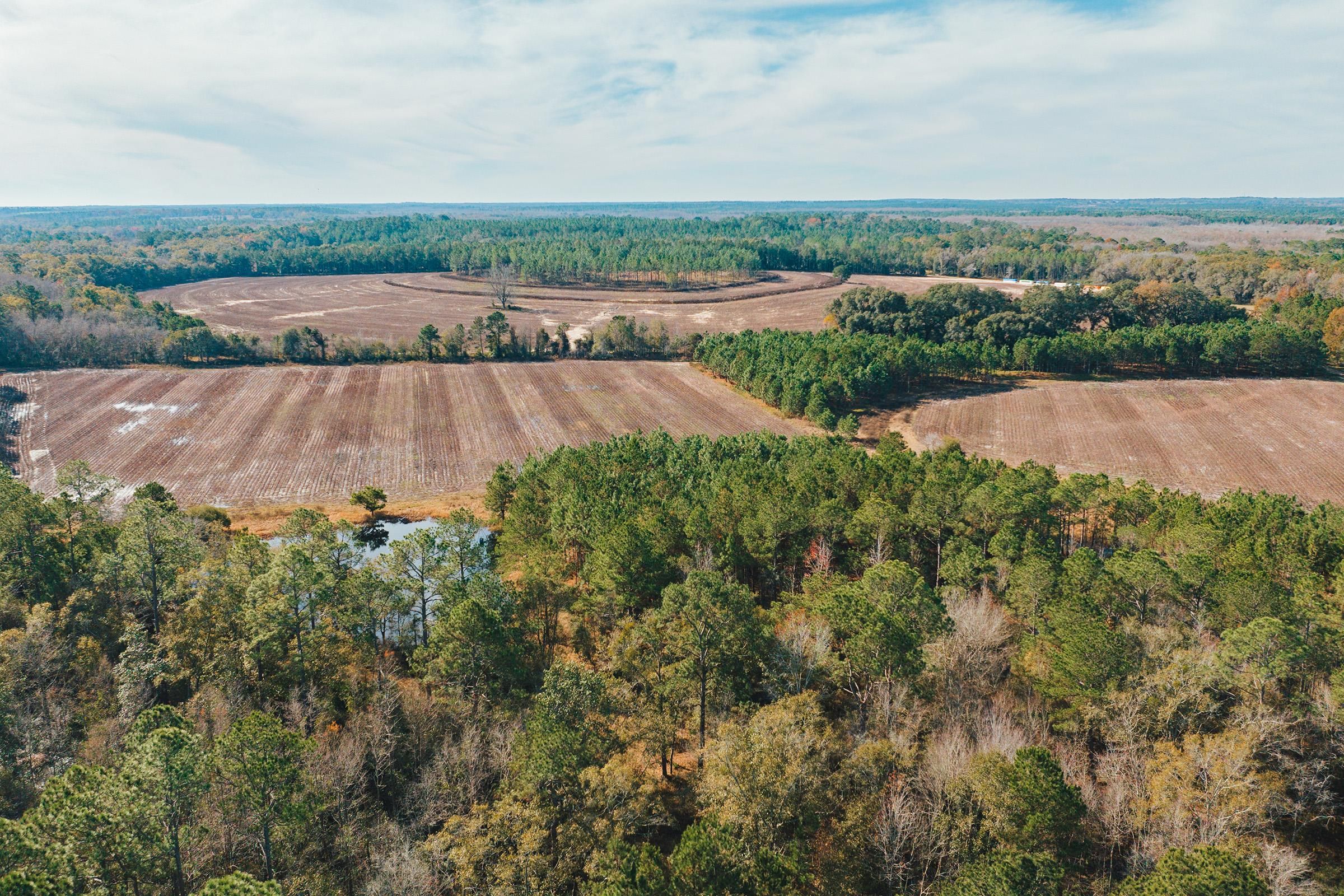 1,442 acres in Madison County, Florida