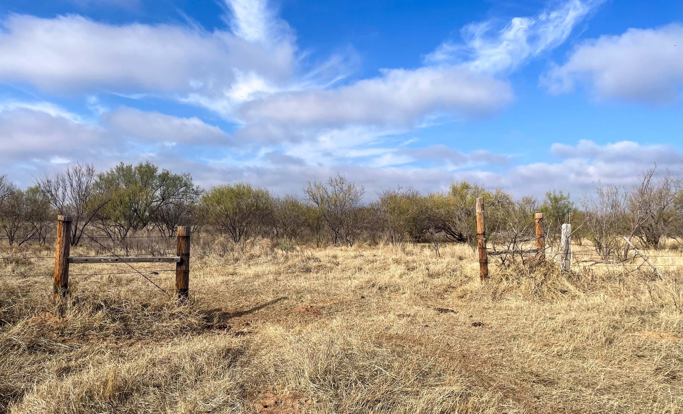 513.34 acres in McCaulley, TX, 79534