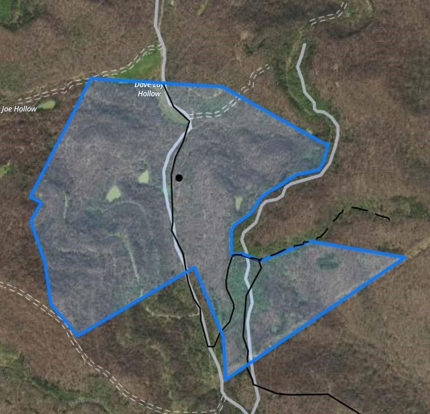 200 acres in Campbell County, Tennessee