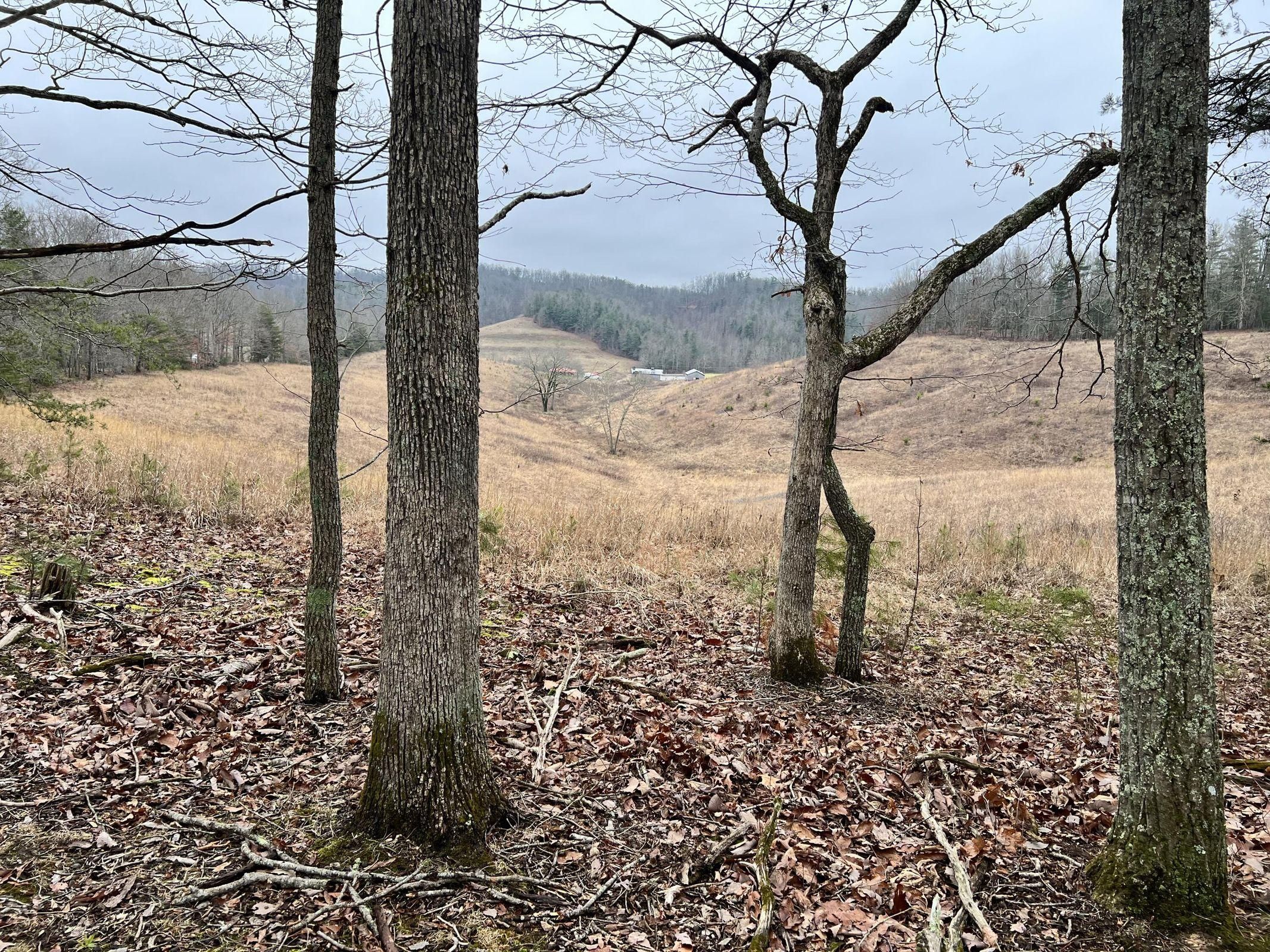 39 acres in Wolfe County, Kentucky