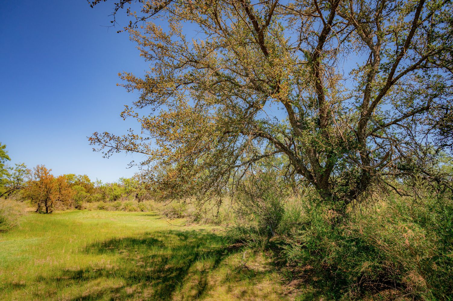 41.91 acres in San Saba County, Texas