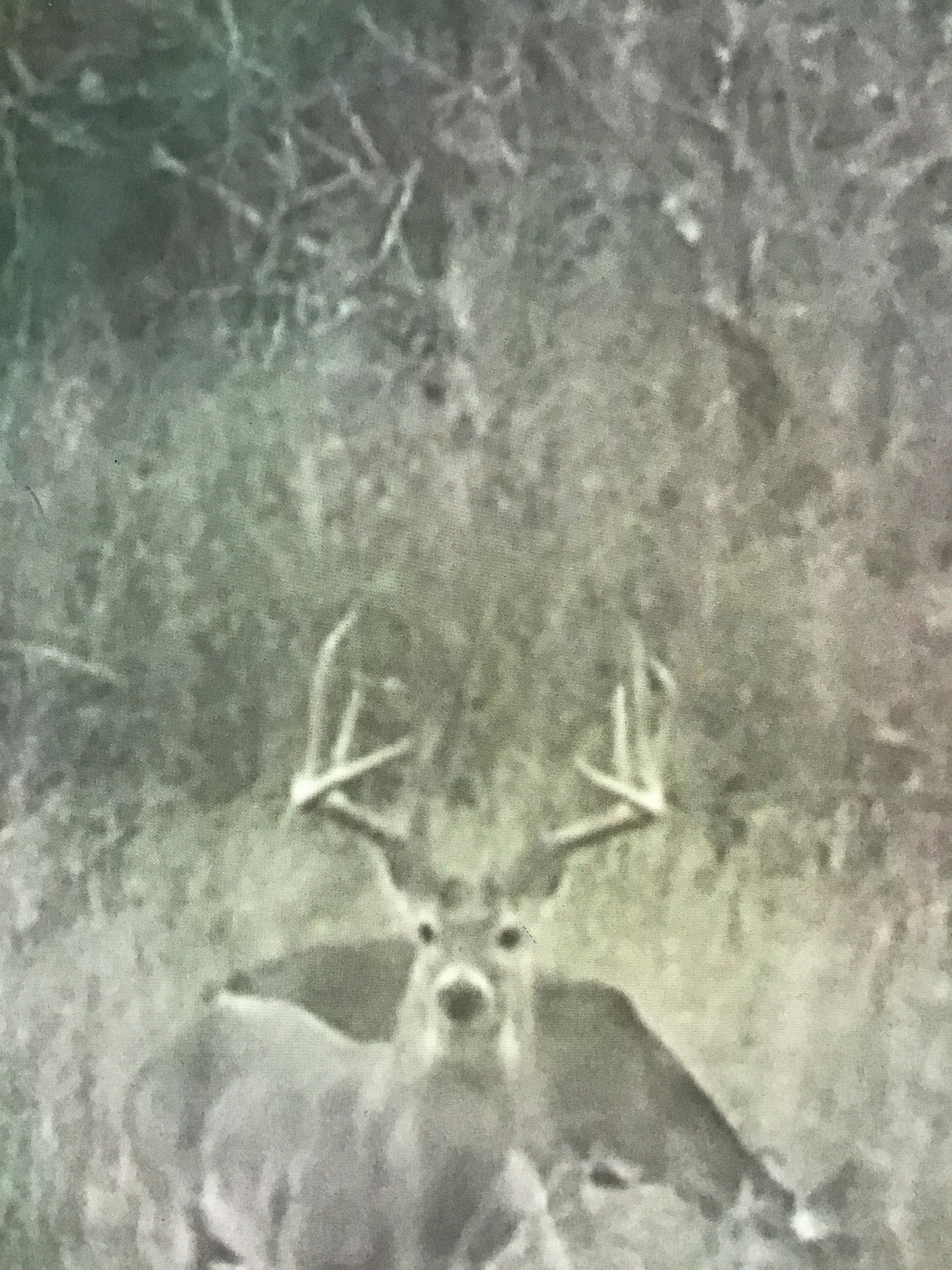 800 acres in Tilden, TX, 78072