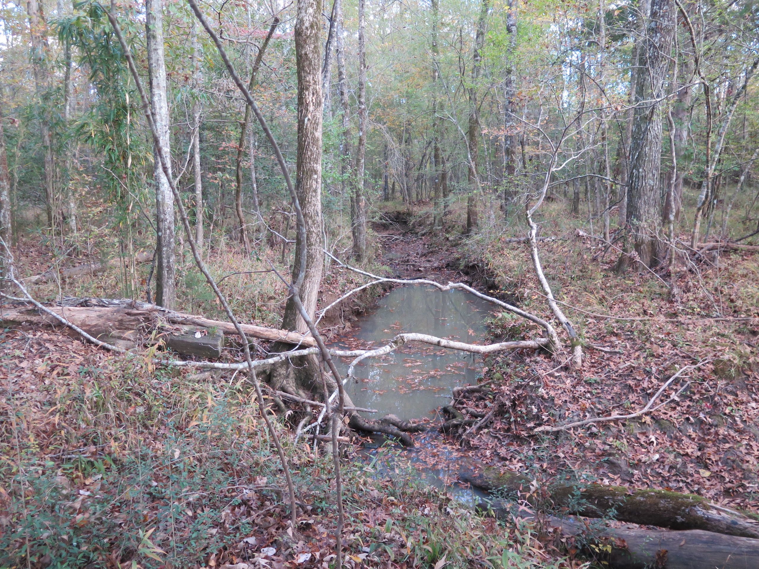 80 acres in Clarke County, Mississippi