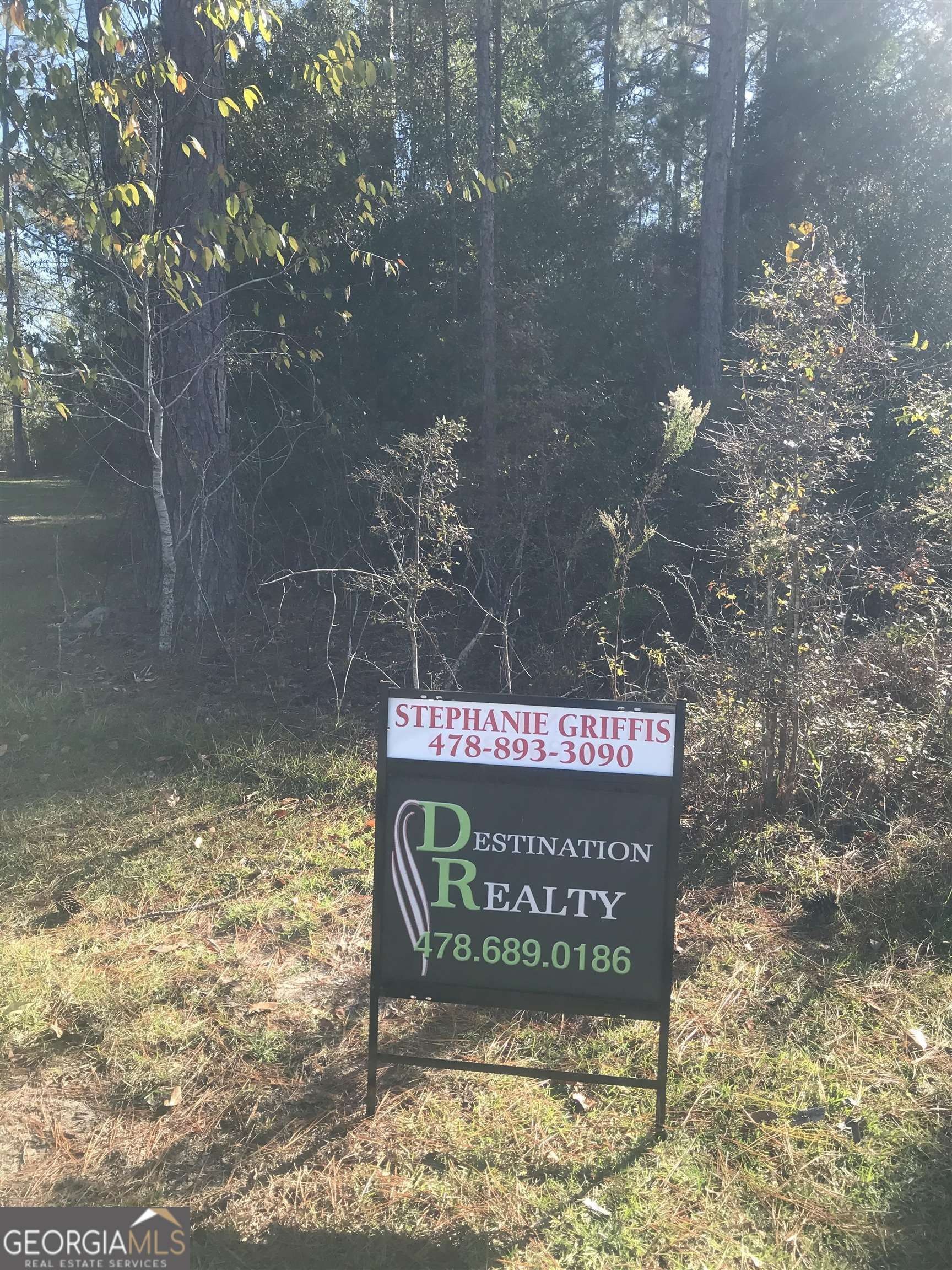 0 Eagles Nest Circle, Eastman, GA 31023 MLS 20168966