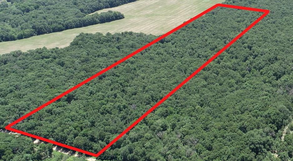 16 acres in Cedar County, Missouri