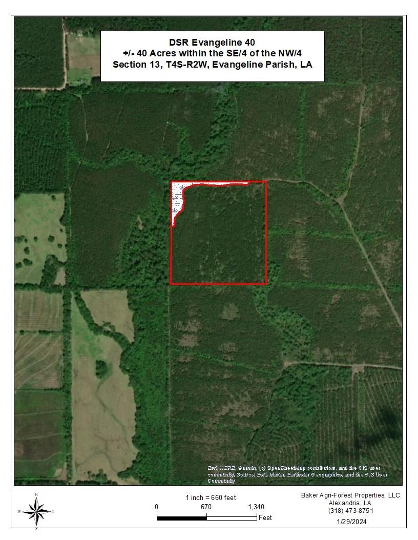 40 acres in Evangeline Parish, Louisiana
