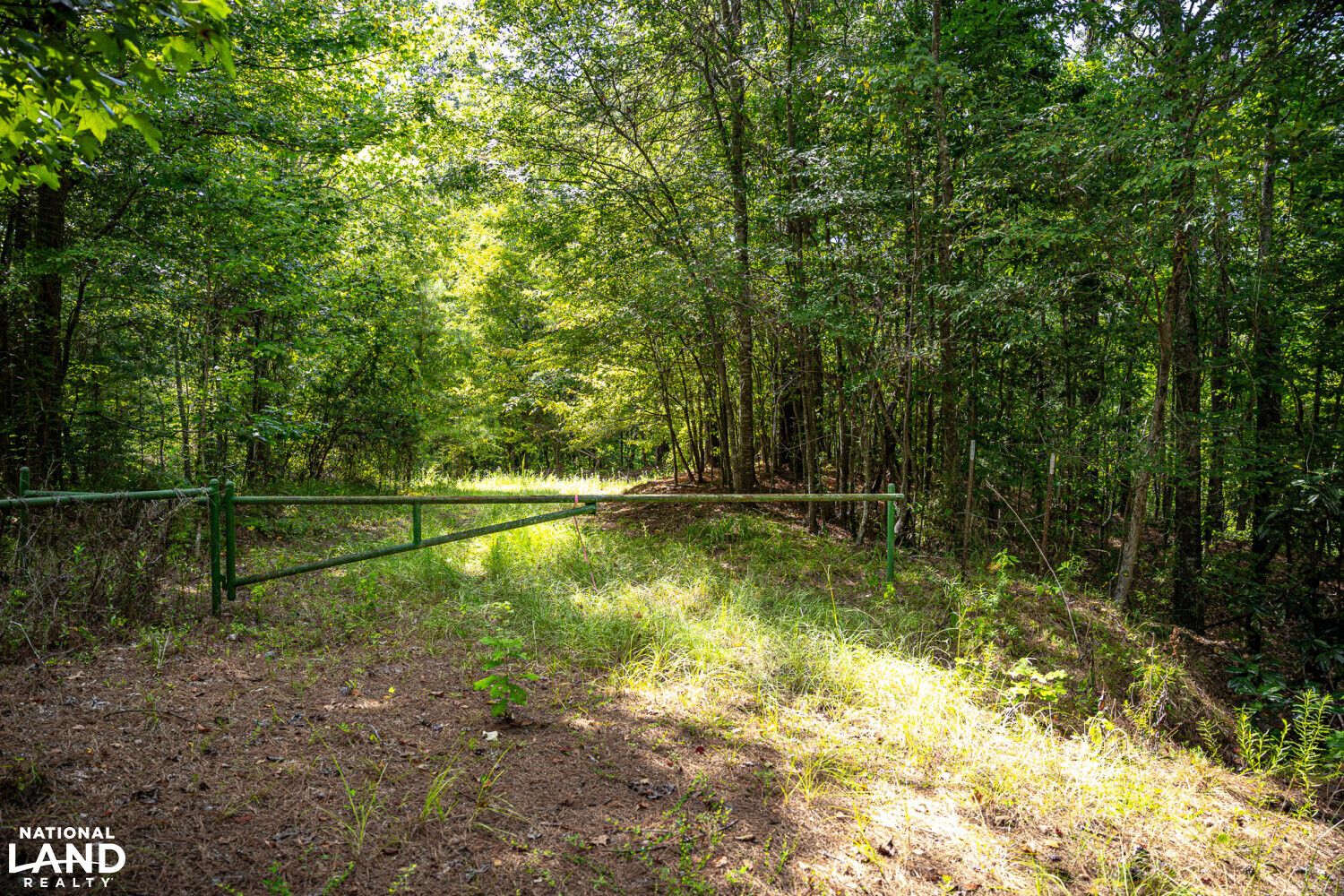 75 acres in Adams County, Mississippi