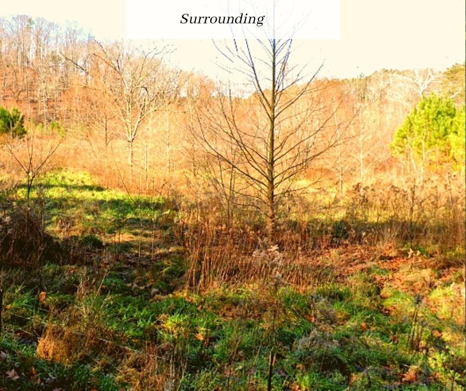 1.52 acres in Gordon County,