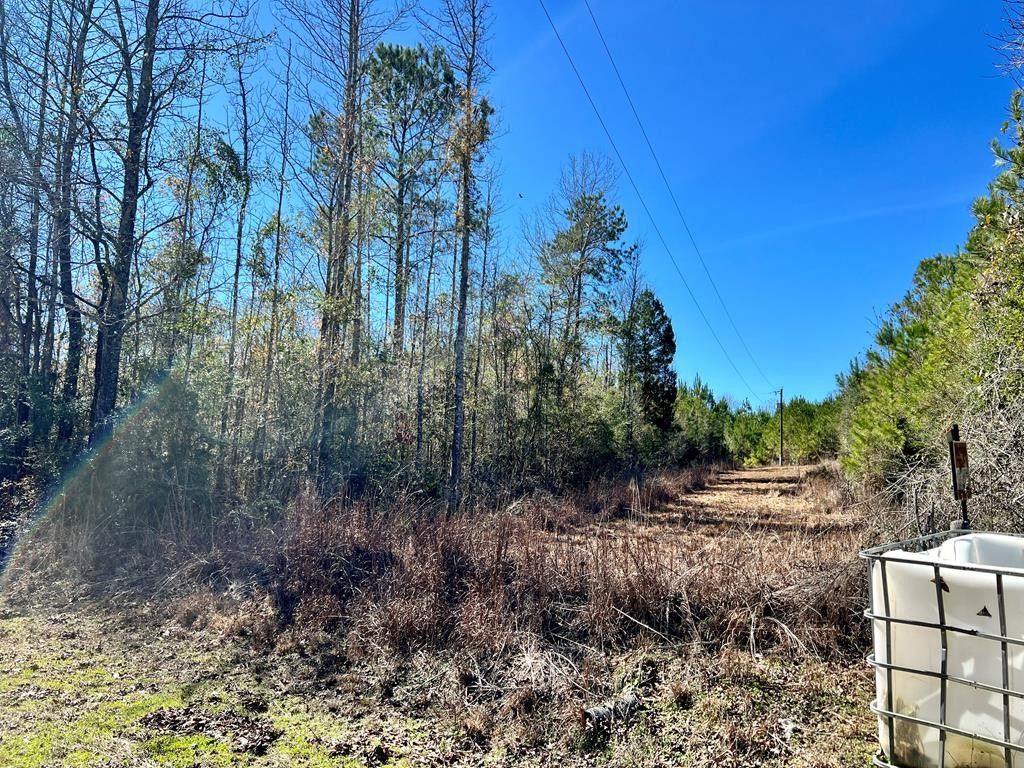 00 DR ANDERSON ROAD, Centreville, MS 39631 MLS 140724