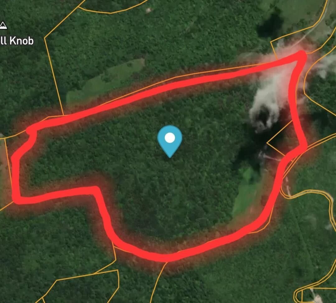 262 Persimmon Lane, Climax, KY 40456 MLS 24001682