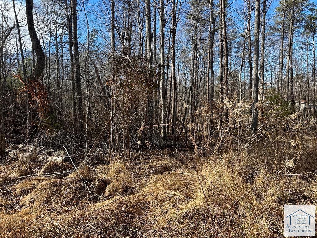 2.1 acres in Patrick County, Virginia