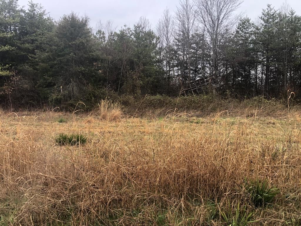 2.55 acres in Appomattox County, Virginia
