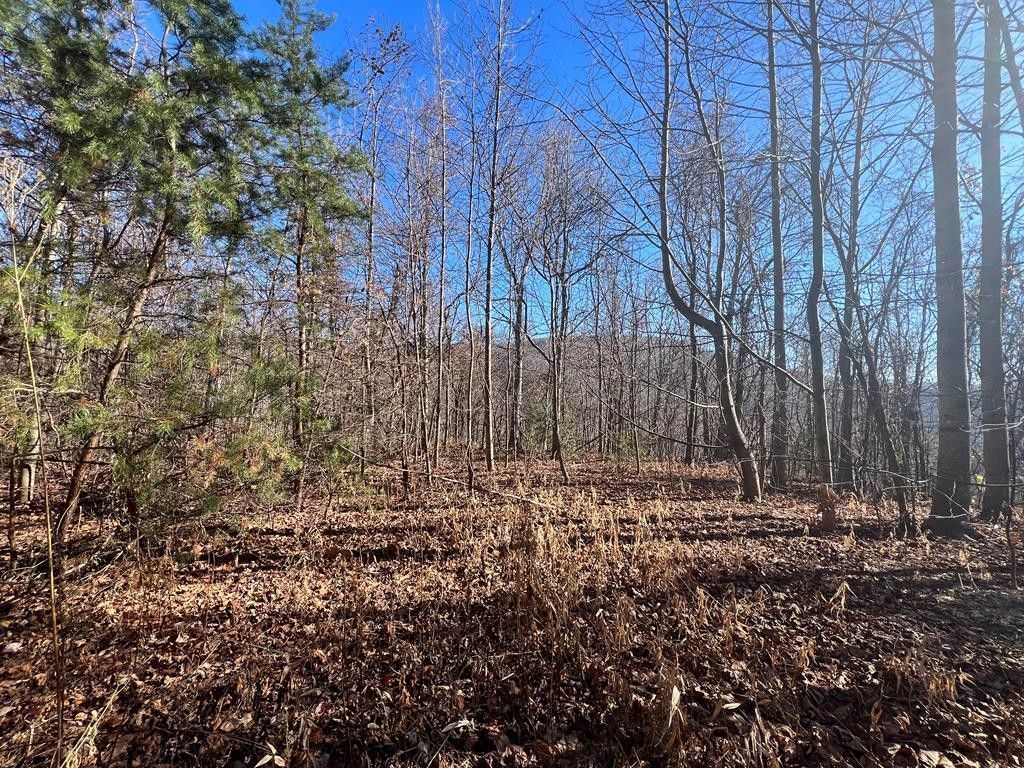 79 acres in Carroll County, Virginia