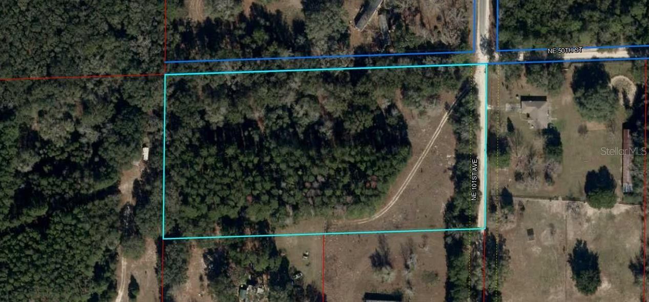 5 acres in Levy County, Florida